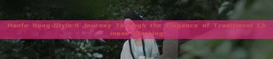 Hanfu Song-Style:A Journey Through the Elegance of Traditional Chinese Clothing