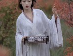 The Forbidden Steps:Exploring the Accessories of Ming Dynasty Hanfu