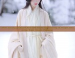 Aodai and Cheongsam Skirts:The Cultural Fusion of Vietnam
