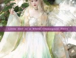 Silk Blouse with Horseface Skirt:A Blend of Tradition and Fashion