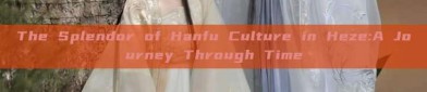The Splendor of Hanfu Culture in Heze:A Journey Through Time