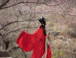 Suzhou Zimei Cheongsam Tailoring Factory:The Essence of Traditional Elegance