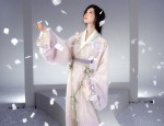 The Enigma of Hanfu Face Veils:A Journey into Traditional Chinese Beauty and Cultural Symbolism