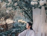 Traditional Chinese Tang-Style Womens Blouse for Summer