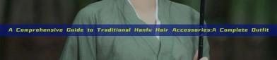 A Comprehensive Guide to Traditional Hanfu Hair Accessories:A Complete Outfit