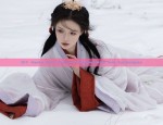 DIY Hanfu Hair Accessories:Materials and Techniques