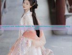 Original and Authentic Hanfu for Summer:Embracing Traditional Elegance