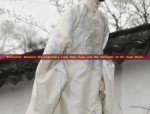 Encounter between the Legendary Lady Dian Kuan and the Splendor of Hu Xuan Hanfu
