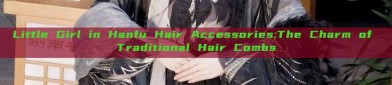 Little Girl in Hanfu Hair Accessories:The Charm of Traditional Hair Combs