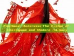 Adult Hanfu Cape and Poncho:A Journey into Traditional Chinese Elegance