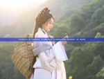 Miss Sevens Cheongsam Shop:Preserving the Elegance of Traditional Chinese Clothing