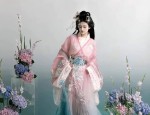 The Revival of Traditional Chinese Hanfu as Annual Costumes