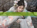 The Rise of Hanfu Decorations:Exploring the World of Traditional Chinese Fashion Accessories