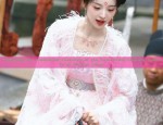 The Summer of Cheongsam Fabric:Understanding the Beauty of Qipao’s Textiles