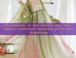 The Splendor of Red Chinese New Year Hanfu:A Traditional Salutation to the New Beginnings