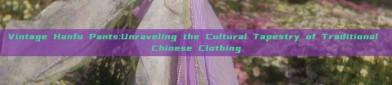 Vintage Hanfu Pants:Unraveling the Cultural Tapestry of Traditional Chinese Clothing
