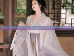 Han Shang Hua Lian Hanfu and Zhong Ling Ji:Exploring the Essence of Traditional Chinese Clothing