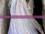 The Bridal Cheongsam for Toast at the Wedding