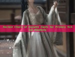 Ancient Charm of Genuine Hanfu for Primary School Students