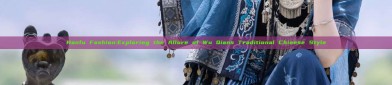 Hanfu Fashion:Exploring the Allure of Wu Qians Traditional Chinese Style