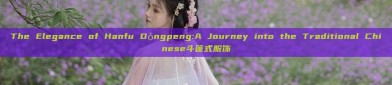 The Elegance of Hanfu Dǒngpeng:A Journey into the Traditional Chinese斗篷式服饰