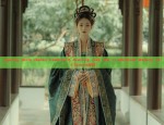 Traditional Chinese Style Childrens Down Jacket and Puffy Horseface Skirt Set for Girls