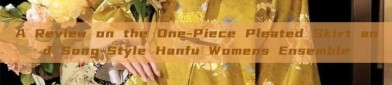 A Review on the One-Piece Pleated Skirt and Song-Style Hanfu Womens Ensemble
