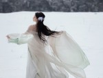 The Evolution of Hanfu Womens Blouses:A Journey into the Realm of Traditional Elegance