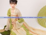 Three Lanes of Hanfu:Unveiling the Essence of Traditional Chinese Clothing