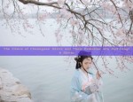 The Rise of Artificially Cotton-Made Tang Costumes:A Blend of Tradition and Modernity