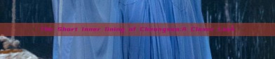 The Short Inner lining of Cheongsam:A Closer Look