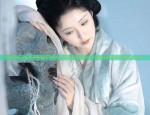 Innovating the Cheongsam:A Modern Perspective on the Traditional Qipao Fake Two-Piece