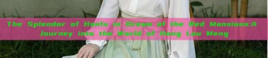 The Splendor of Hanfu in Dream of the Red Mansions:A Journey into the World of Hong Lou Meng