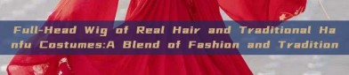 Full-Head Wig of Real Hair and Traditional Hanfu Costumes:A Blend of Fashion and Tradition