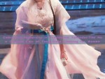 Embracing Modernity in Traditional Splendor:The New Chinese Chic of Tang-Style Clothing for Women