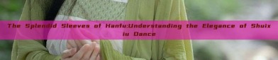 The Splendid Sleeves of Hanfu:Understanding the Elegance of Shuixiu Dance
