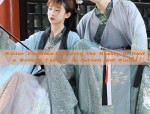 Winter Elegance:Exploring the Beauty of Hanfu Womens Fashion in Autumn and Winter