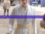The Splendor of Green Tang-Style Hanfu:A Journey into Traditional Chinese Clothing
