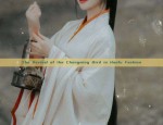 Adult Hanfu Robe with Elegant Long Skirt:A Cultural Journey Through Traditional Chinese Fashion