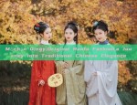 Original and Authentic Hanfu Tang Style:Unraveling the Essence of Traditional Chinese Elegance