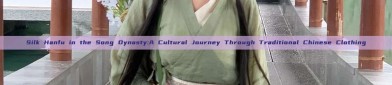 Silk Hanfu in the Song Dynasty:A Cultural Journey Through Traditional Chinese Clothing