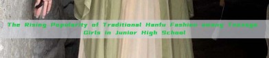 The Rising Popularity of Traditional Hanfu Fashion among Teenage Girls in Junior High School
