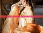 Chinese-Style Cheongsam and the Summer Dynasty of Xia