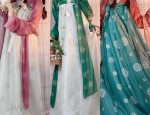 Ancient Charm of Hanfu Girl:A Glimpse into the Traditional Beauty of Chinese Ethnic Dress