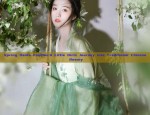 Hanfu Hair Accessories in Song Dynasty Style:A Closer Look into Traditional Beauty