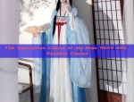 Reinventing Traditional Hanfu Skirts for Modern Adult Women:The Evolution of Hanfu Dress