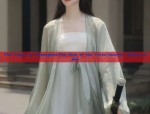 Ancient Elegance in Summer:A Journey Through Traditional Chinese Costume