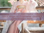 Summer Elegance in Hanfu:The Otherworldly Charm of Song-Style Clothing
