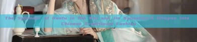 The Splendor of Hanfu in the Wei and Jin Dynasties:A Glimpse into Chinese Traditional Fashion