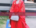 The Evolution of Three-Meter Hairband Hanfu:A Cultural Exploration